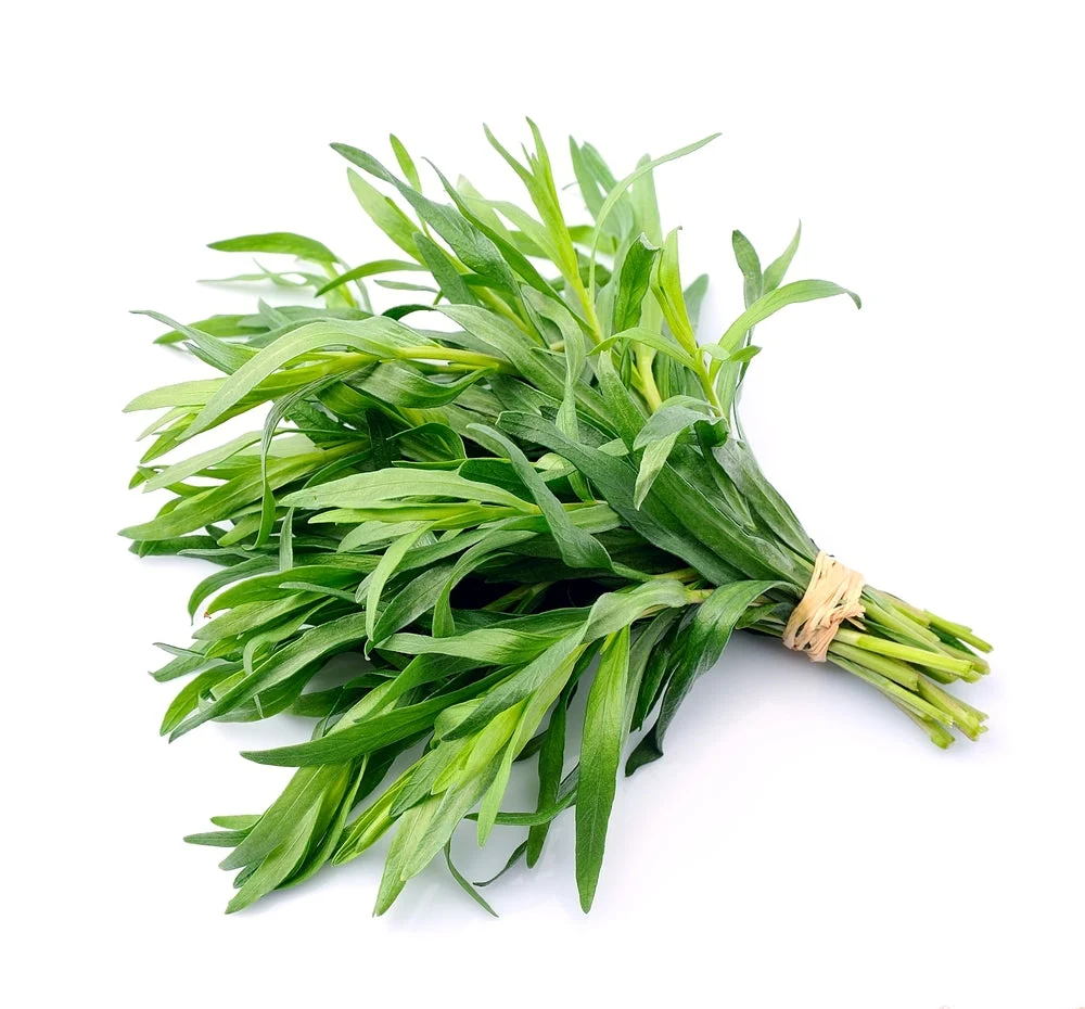 Tarragon (20g)