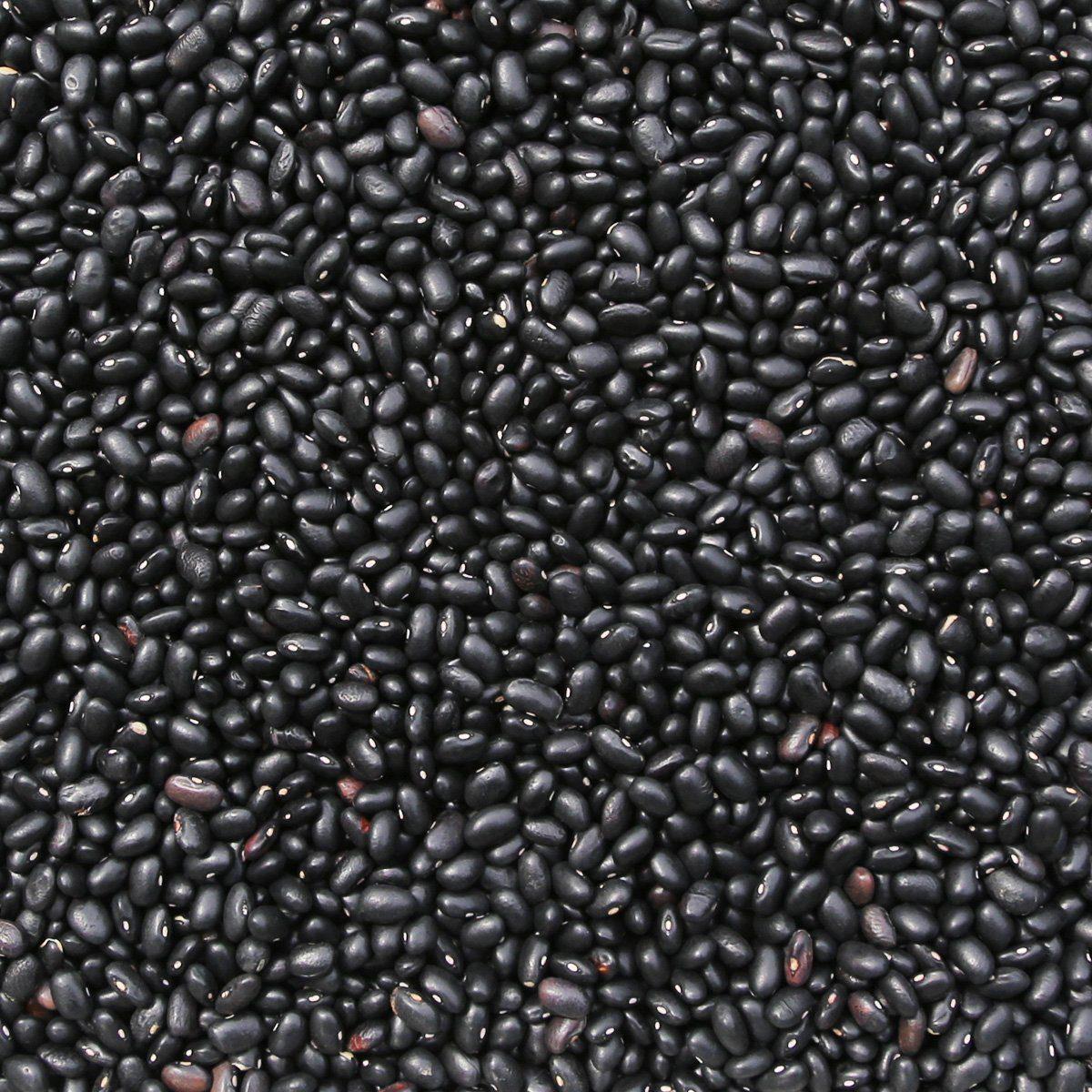 Organic Black Turtle Beans - Image 4