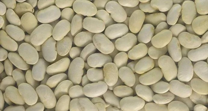 Organic Butter Beans - Image 4
