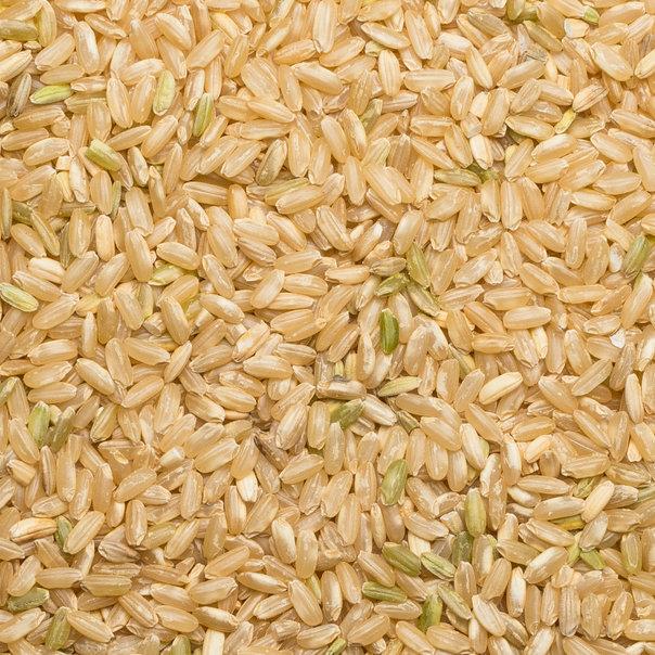Organic Long Grain Brown Rice - Image 4