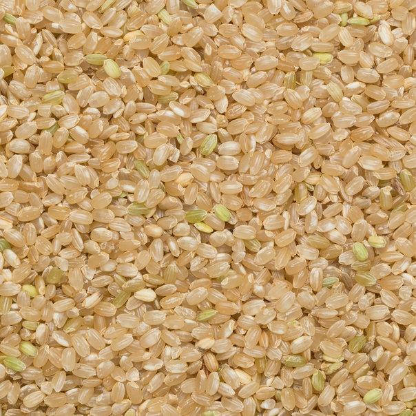 Organic Short Grain Brown Rice - Image 4