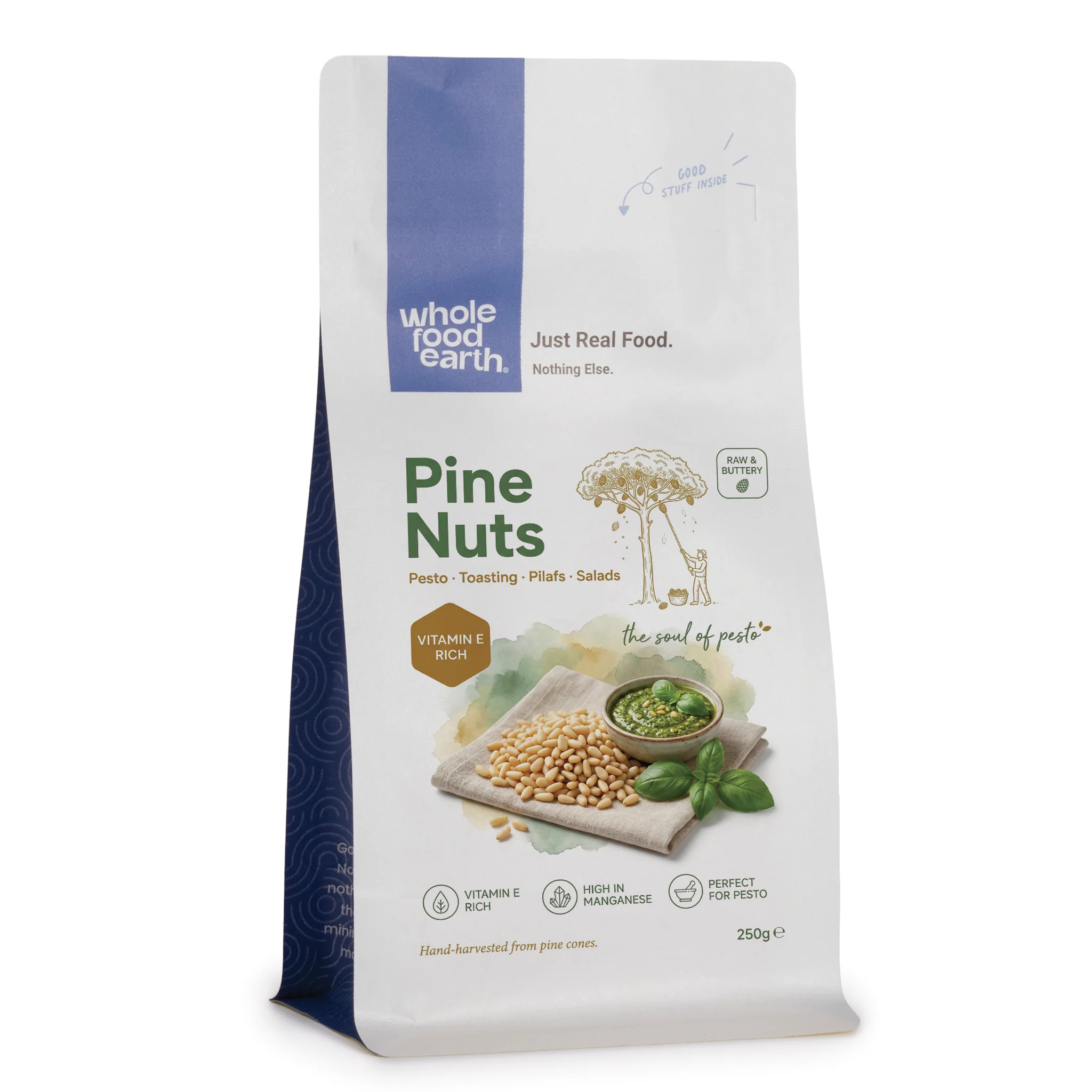 Pine Nuts - Image 3