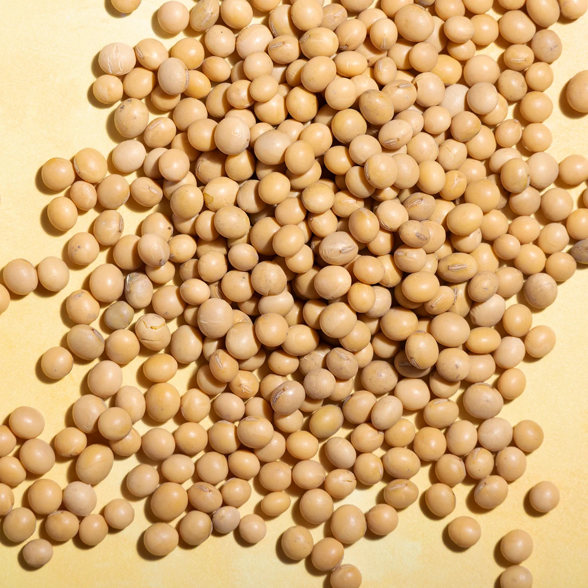 Soya Beans - Image 6